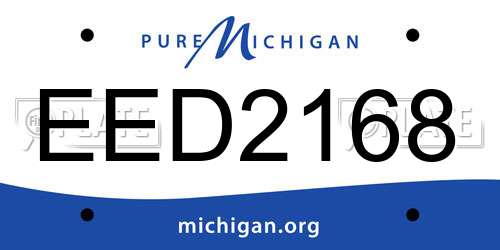 EED2168 Michigan License Plate