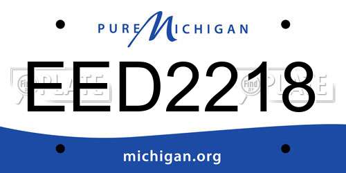 EED2218 Michigan License Plate
