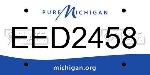 EED2458 Michigan License Plate