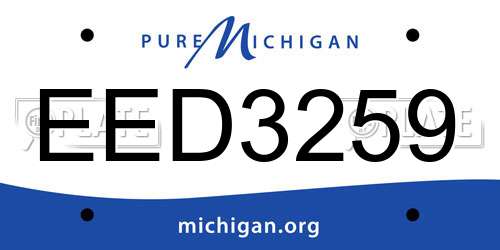 EED3259 Michigan License Plate