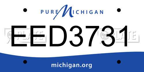 EED3731 Michigan License Plate
