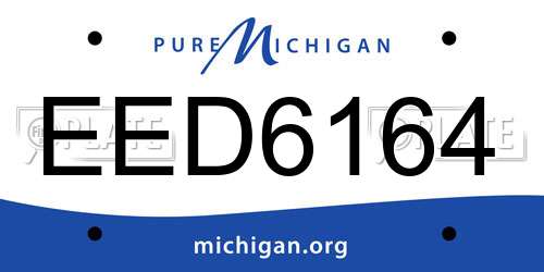 EED6164 Michigan License Plate