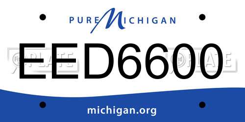 EED6600 Michigan License Plate