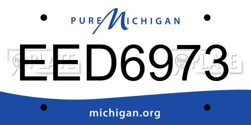 EED6973 Michigan License Plate