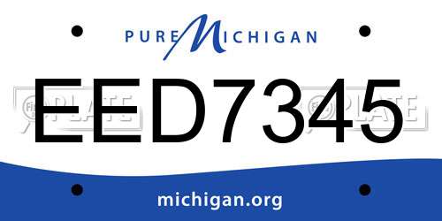 EED7345 Michigan License Plate