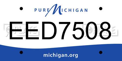 EED7508 Michigan License Plate