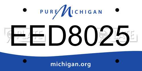 EED8025 Michigan License Plate