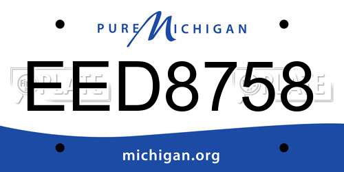 EED8758 Michigan License Plate
