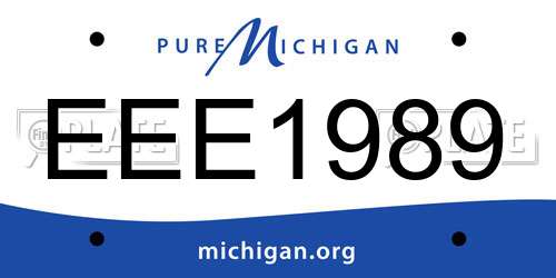 EEE1989 Michigan License Plate