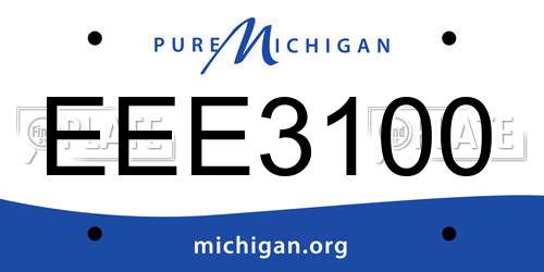EEE3100 Michigan License Plate