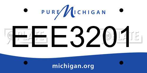 EEE3201 Michigan License Plate