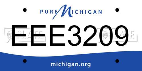EEE3209 Michigan License Plate