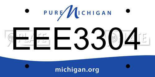 EEE3304 Michigan License Plate