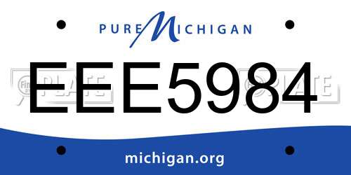 EEE5984 Michigan License Plate