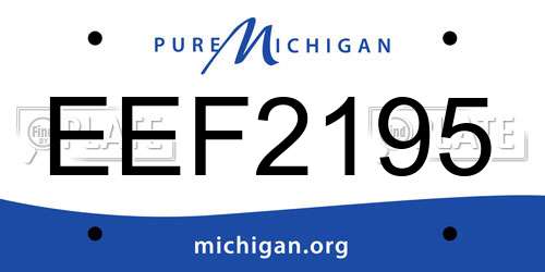 EEF2195 Michigan License Plate
