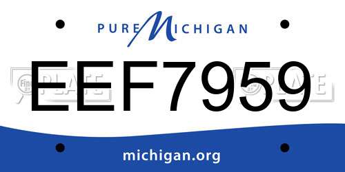 EEF7959 Michigan License Plate