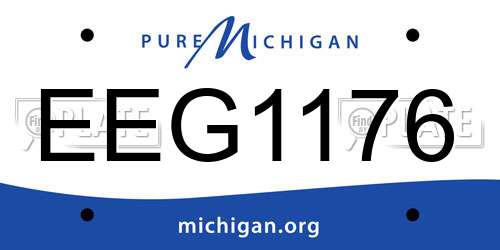 EEG1176 Michigan License Plate