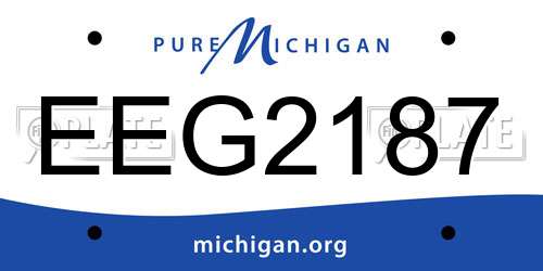 EEG2187 Michigan License Plate