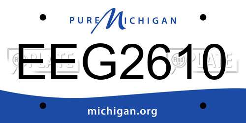 EEG2610 Michigan License Plate