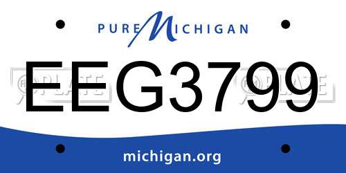 EEG3799 Michigan License Plate