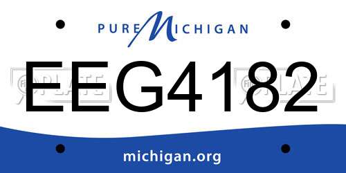 EEG4182 Michigan License Plate