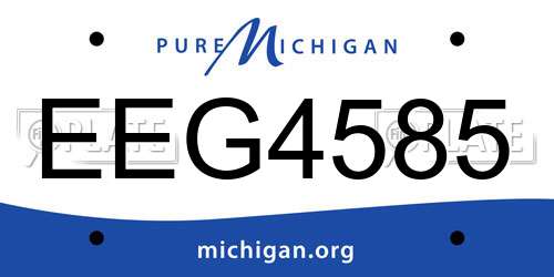 EEG4585 Michigan License Plate