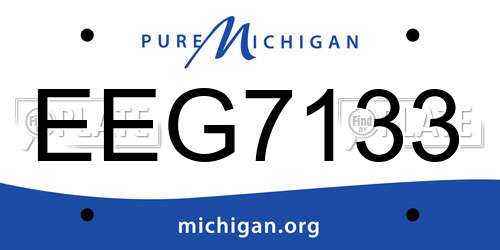 EEG7133 Michigan License Plate