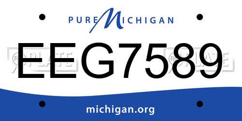 EEG7589 Michigan License Plate