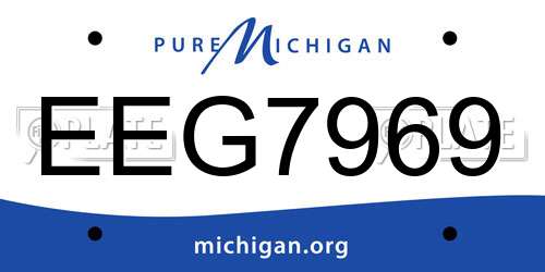 EEG7969 Michigan License Plate