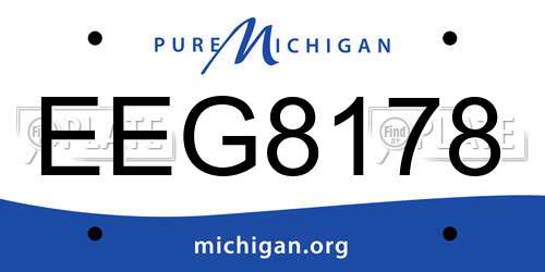 EEG8178 Michigan License Plate