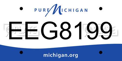 EEG8199 Michigan License Plate