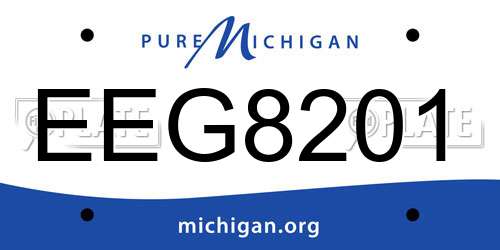 EEG8201 Michigan License Plate