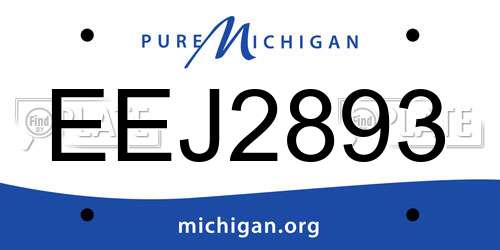 EEJ2893 Michigan License Plate