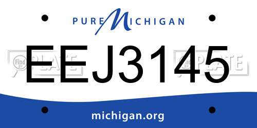 EEJ3145 Michigan License Plate