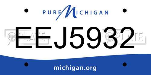 EEJ5932 Michigan License Plate