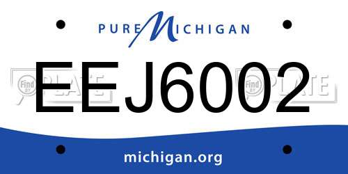 EEJ6002 Michigan License Plate