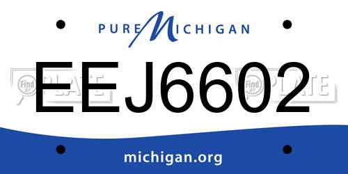 EEJ6602 Michigan License Plate