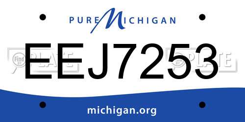 EEJ7253 Michigan License Plate