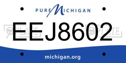 EEJ8602 Michigan License Plate