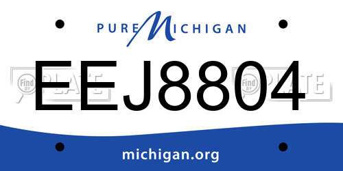 EEJ8804 Michigan License Plate