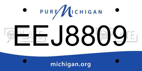 EEJ8809 Michigan License Plate