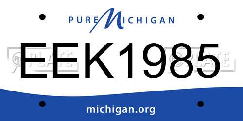 EEK1985 Michigan License Plate