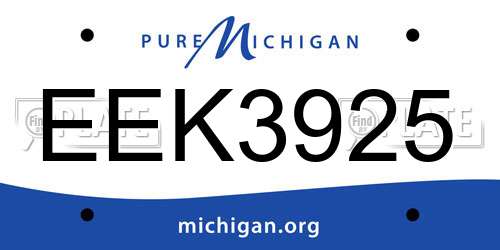 EEK3925 Michigan License Plate