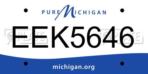 EEK5646 Michigan License Plate