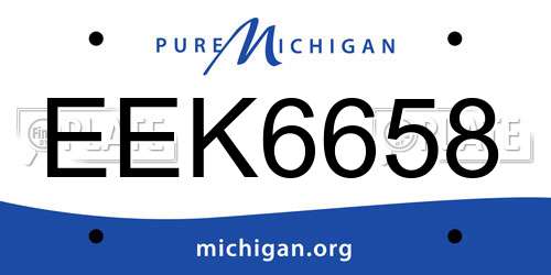 EEK6658 Michigan License Plate