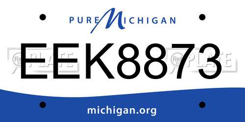 EEK8873 Michigan License Plate