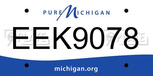 EEK9078 Michigan License Plate