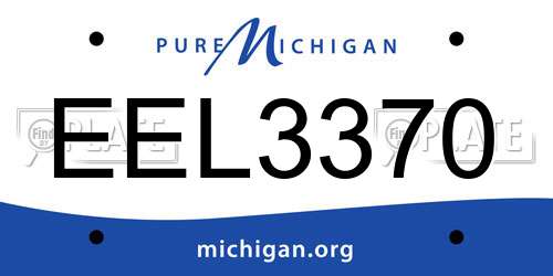 EEL3370 Michigan License Plate