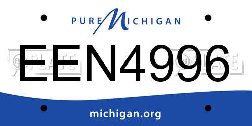 EEN4996 Michigan License Plate