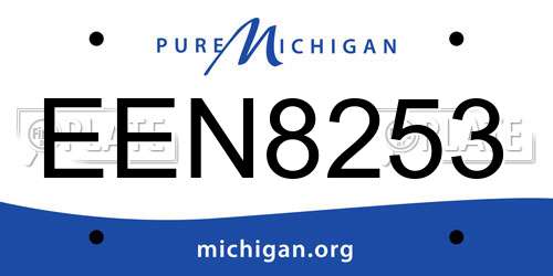 EEN8253 Michigan License Plate